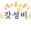 보다나코스메틱