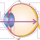 아이존안경 이미지