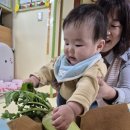 깍두기 담그기 놀이 &amp;무 치발기~ 이미지