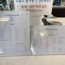 마실디 이미지