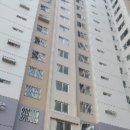 신평동1105 이미지