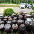 강여울 숲 이미지