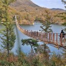 출렁다리 카페 이미지