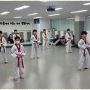 계명대아이태권도 이미지