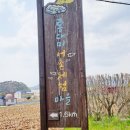 대포어촌체험휴양마을 이미지