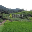 용지하우스 이미지