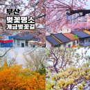 (주)바디프랜드 부산개금 | 개금 벚꽃길 위치 찾아가는 방법 부산 이색데이트 가볼만한곳