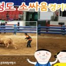 새마을여행사 이미지