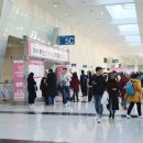 부산벡스코에서 개최된 부산반려동물박람회 관람 후기