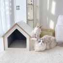 주식회사 아이템포유 | 케어펫 뮤트 컴팩트 | 고양이하우스 | 강아지하우스