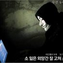 소 외양간 이미지