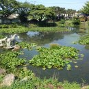 공동정호 이미지