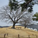 공설운동장 동편 이미지