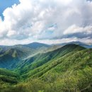 아홉사리로 이미지