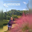 통일로 493번길 이미지