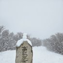 영남알프스 운문산, 고헌산 #2 이미지