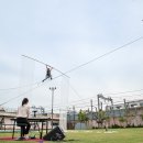 서커스 음악극 <체어, 테이블, 체어> 이미지