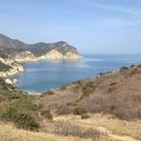서풍 Daum카페