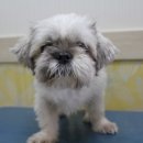 손수의과병원 이미지