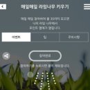 케이티엑스광명역메이퓨어의원 이미지