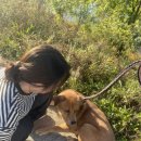 어화댕댕 이미지