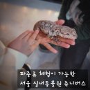 강북북부골목시장 | 서울 실내 동물원 추천, 강북구 쥬니버스 아이 체험 후기