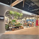 질그릇 | 요즘 여기 난리난 이유! 모던하우스 간식 30% 할인