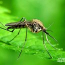 내포 충남보건환경연구원 이미지