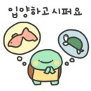 황금청소 이미지