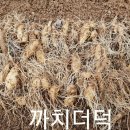 까치슈퍼 이미지