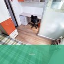 윈리빙텔