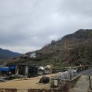 길스가든더로드 101 이미지