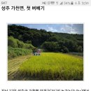 창리정미소 이미지