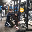 당근헬스 이미지