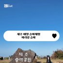 마리랑승마