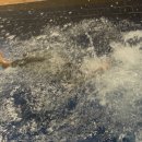 블루몽즈 이미지