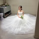 곡성나무펜션 세그루,네그루,다섯그루,여섯그루 | [청담] 아뜰리에로리에 촬영 드레스 가봉 후기