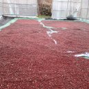 만세동농장 이미지