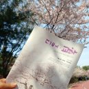 사계절옷수선 네이버블로그