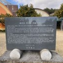 신효동 하귤나무 이미지