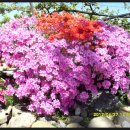 정다운휴게소 이미지