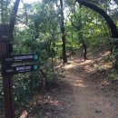 서리풀공원1-30 이미지