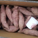 고구마판매합니다