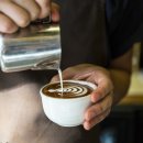 스타벅스 거부한 호주 사람들, 어떤 커피를 마시길래 ? 이미지