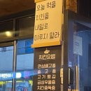 홀려버린닭 이미지