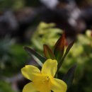 삽재농장 이미지