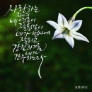 하누리 이미지
