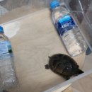 수완종합 동물병원 이미지