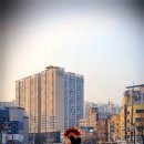 성북-돈암-2019 이미지