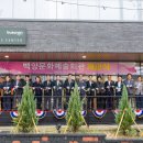 백양 이미지